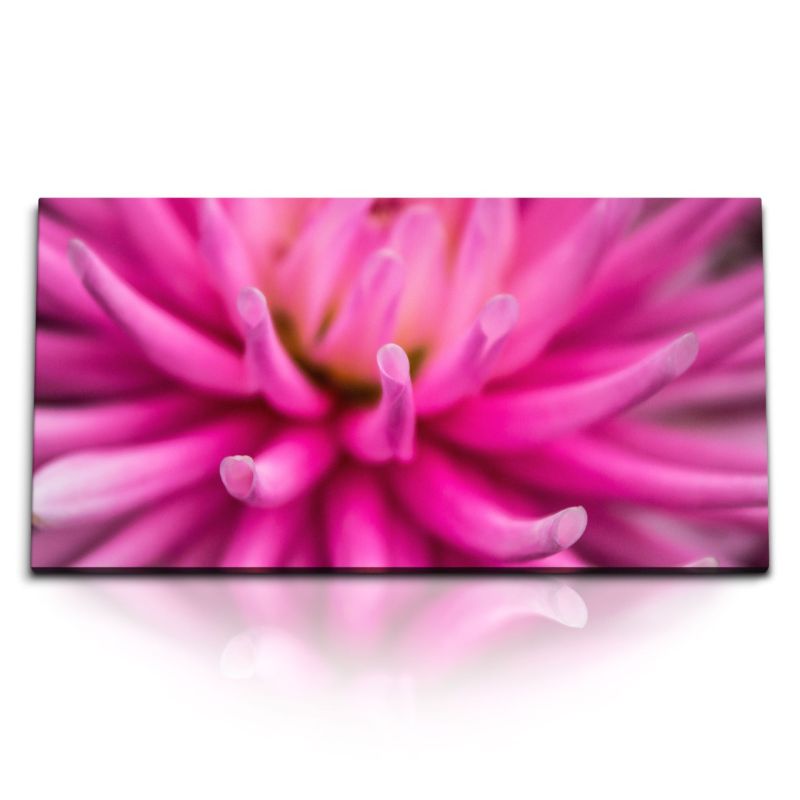 Kunstdruck Bilder 120x60cm Rosa Blüte Makrofotografie Blume Kunstvoll Dekorativ