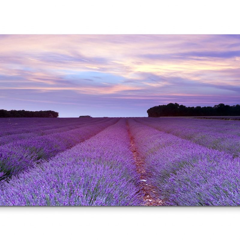 120x80cm Wandbild Provence Lavendelfeld Sommer Sonnenuntergang