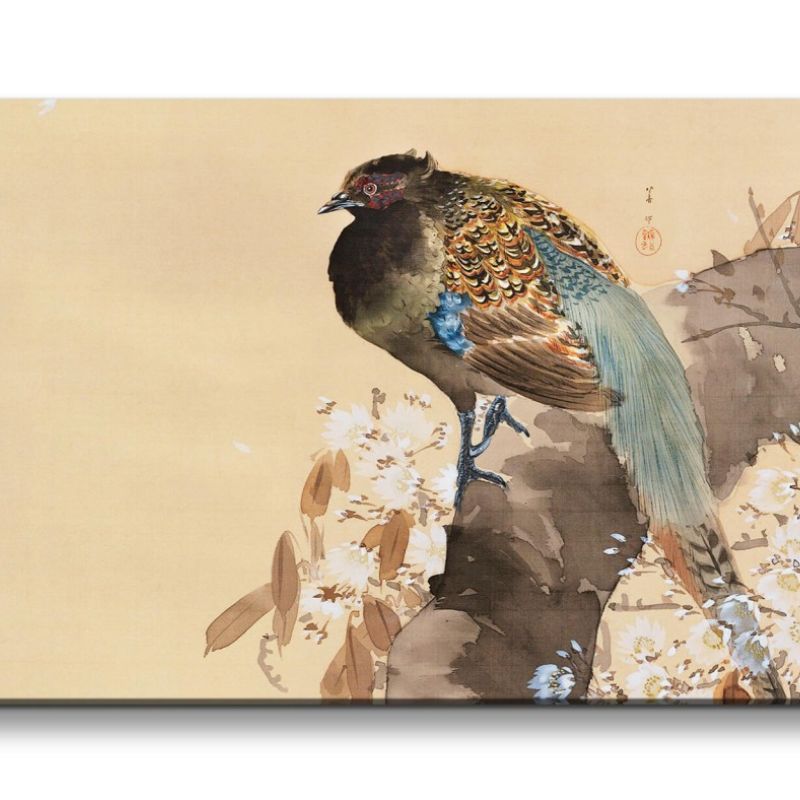 Remaster 120x60cm Ohara Koson traditionell japanische Kunst wunderschöner Vogel Federkleid Baumblüte