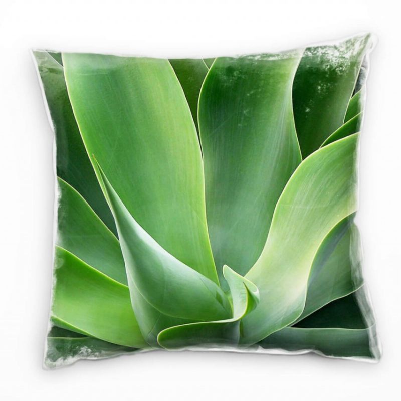 Natur, grün, Pflanze, Agave, Detailaufnahme Deko Kissen 40x40cm für Couch Sofa Lounge Zierkissen