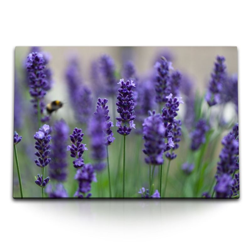 120x80cm Wandbild auf Leinwand Lavendel Lila Sommer Wildblumen Natur