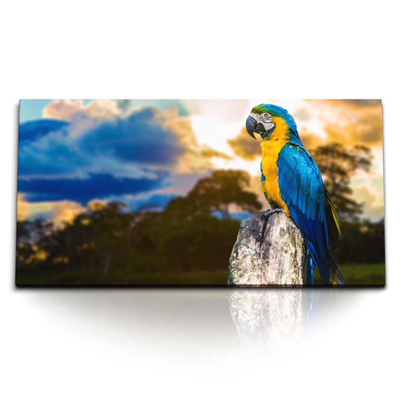 Kunstdruck Bilder 120x60cm Papagei Tierfotografie Exotisch Tropisch Meer Strand