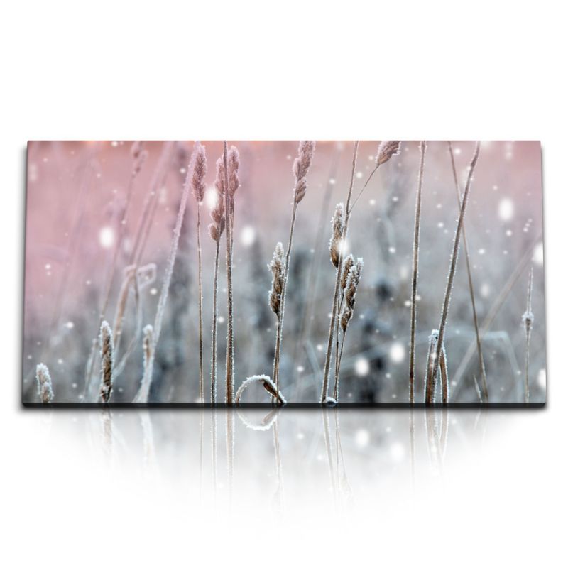 Kunstdruck Bilder 120x60cm Weizenfeld Pflanzen Frost Natur Sonnenuntergang