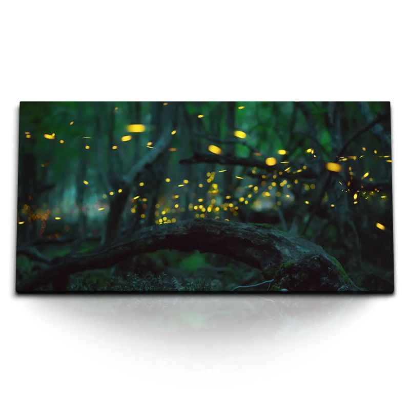 Kunstdruck Bilder 120x60cm Wald Dunkel Leichtkäfer Natur Bäume Nacht