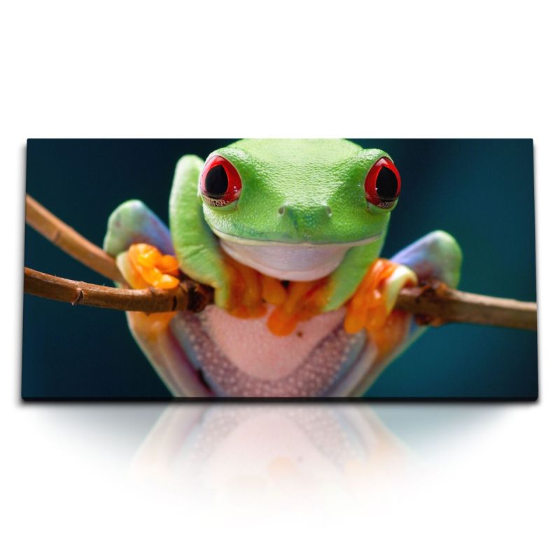 Kunstdruck Bilder 120x60cm Exotischer Frosch Regenwald Tierfotografie Natur