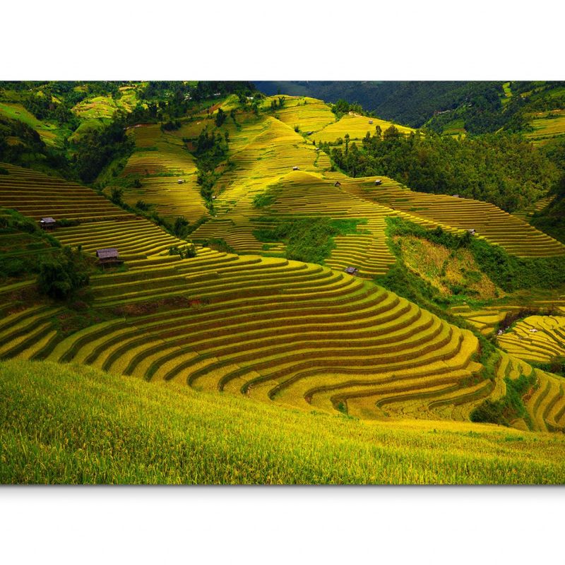 120x80cm Wandbild Vietnam Reisterrassen Hügel