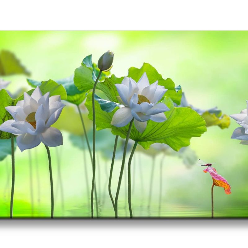 Leinwandbild 120x60cm Lotus Blumen Wasser Teich Natur Schön Kunstvoll