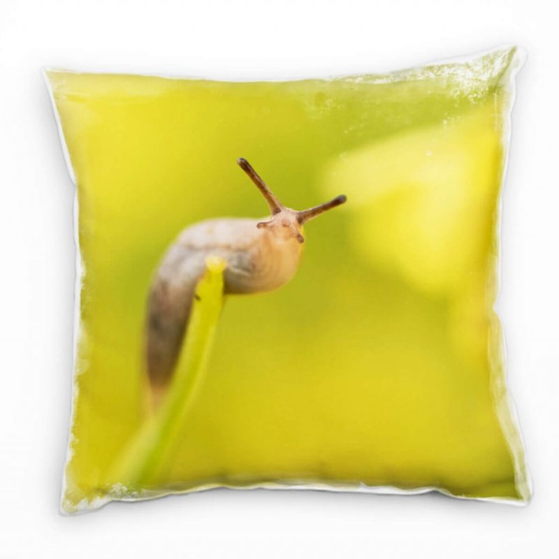 Tiere, Nacktschnecke, braun, grün Deko Kissen 40x40cm für Couch Sofa Lounge Zierkissen