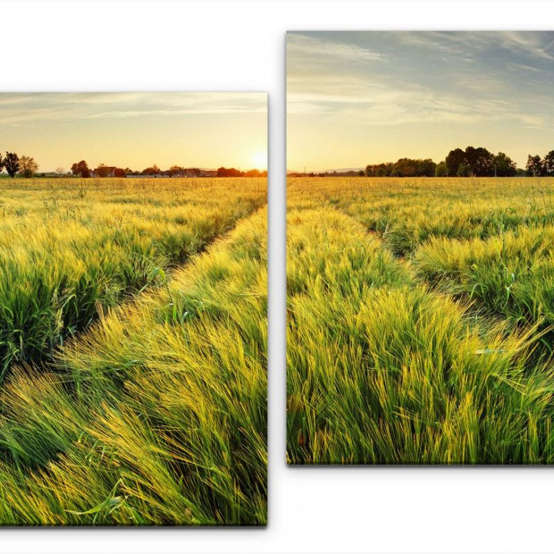 Landschaft Afrika Wandbild in verschiedenen Größen