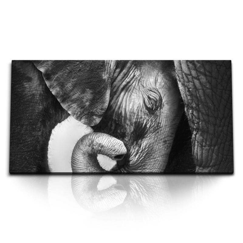 Kunstdruck Bilder 120x60cm Baby Elefant Tierfotografie Schwarz Weiß Kunstvoll