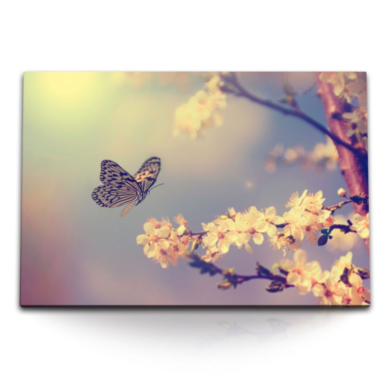 120x80cm Wandbild auf Leinwand Frühling Natur Baumblüte weiße Blüten Schmetterling