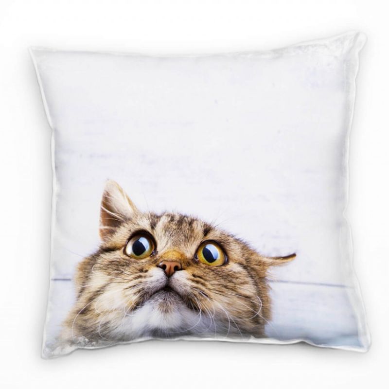 Tiere, überraschte Katze, braun, grau Deko Kissen 40x40cm für Couch Sofa Lounge Zierkissen