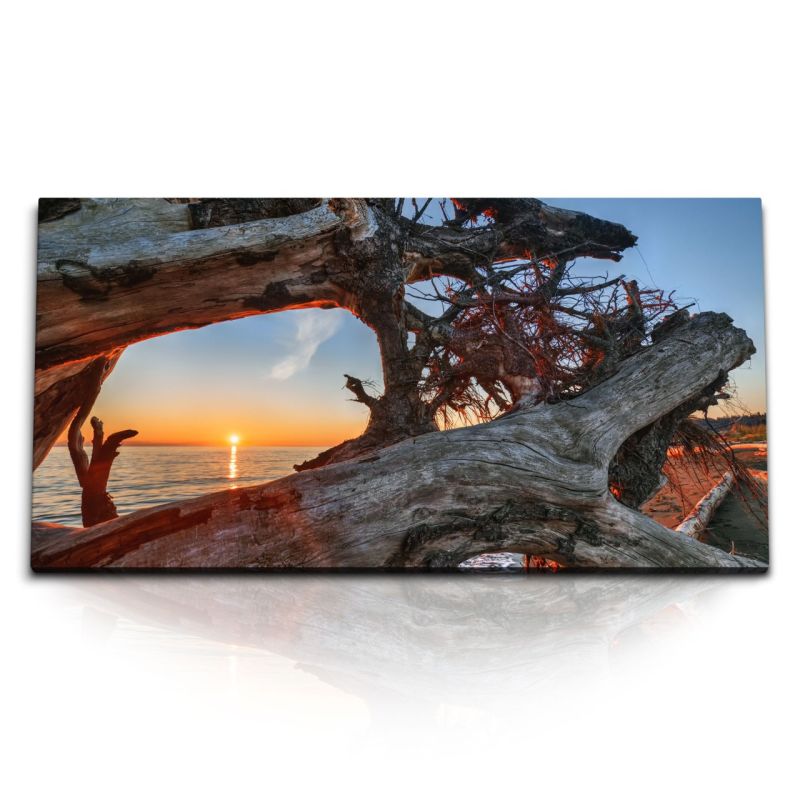 Kunstdruck Bilder 120x60cm Altes Treibholz Sonnenuntergang Meer Strand Baumstamm