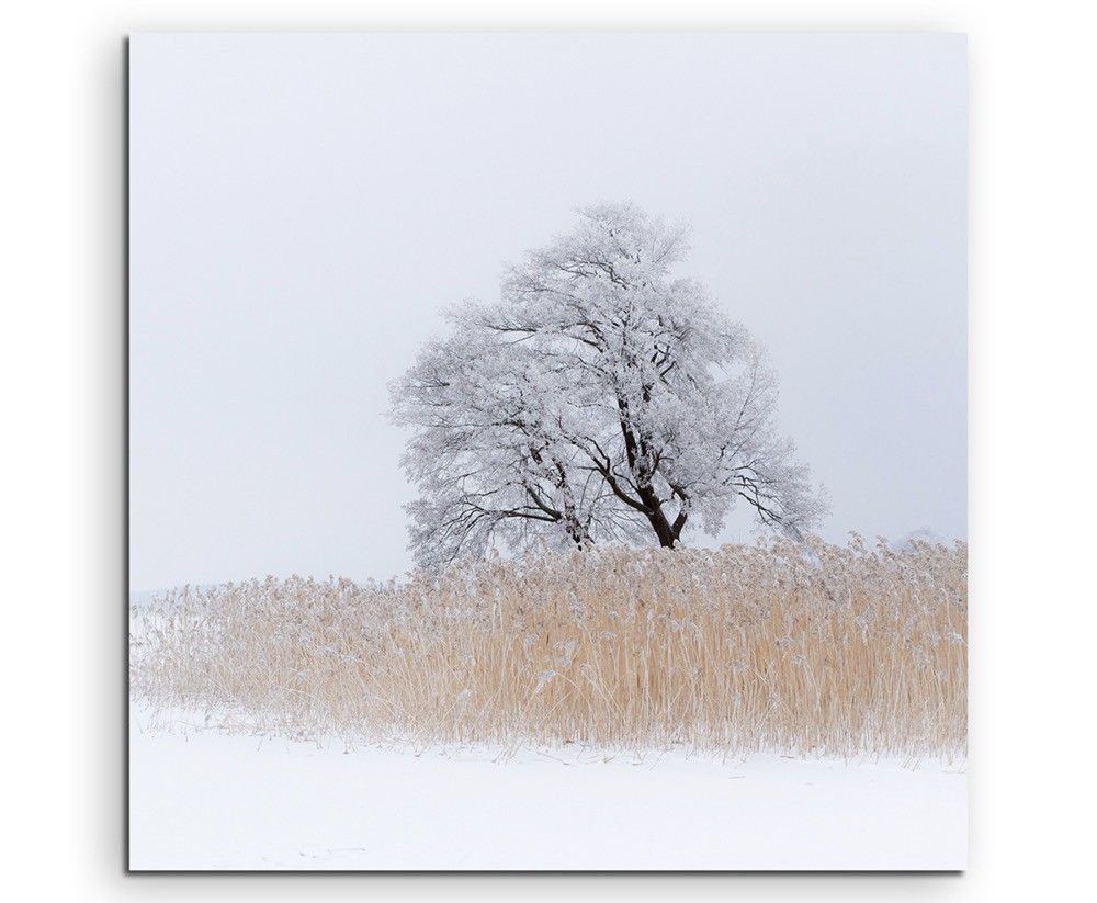 Landschaftsfotografie –  Einsamer Baum am See auf Leinwand