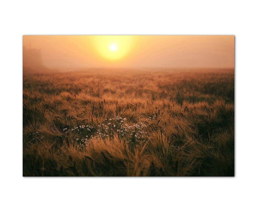 120x80cm Feld Sonnenuntergang Landschaft