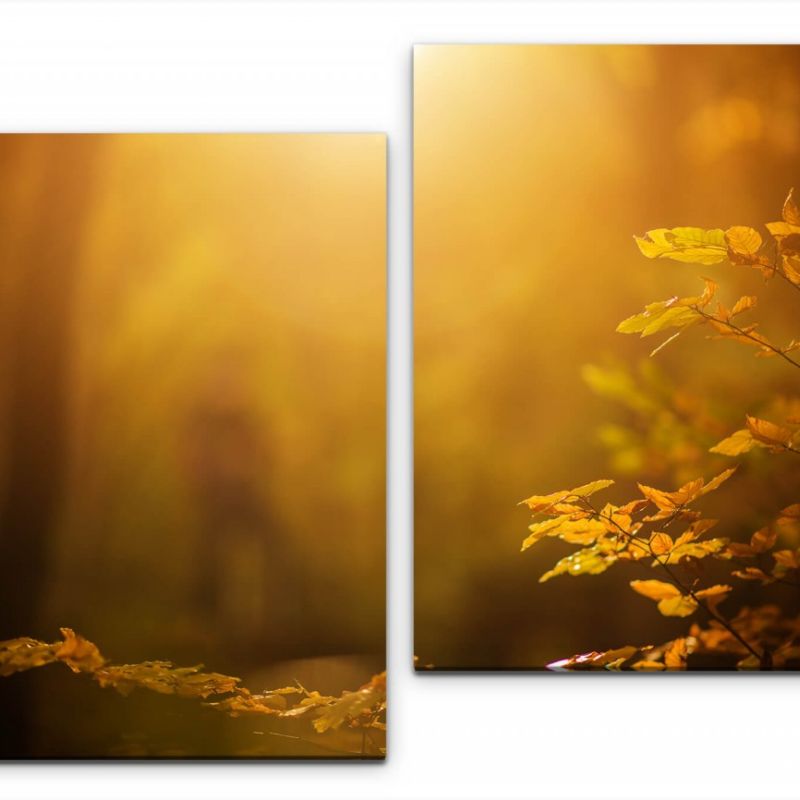 Sonnenstrahlen Wandbild in verschiedenen Größen