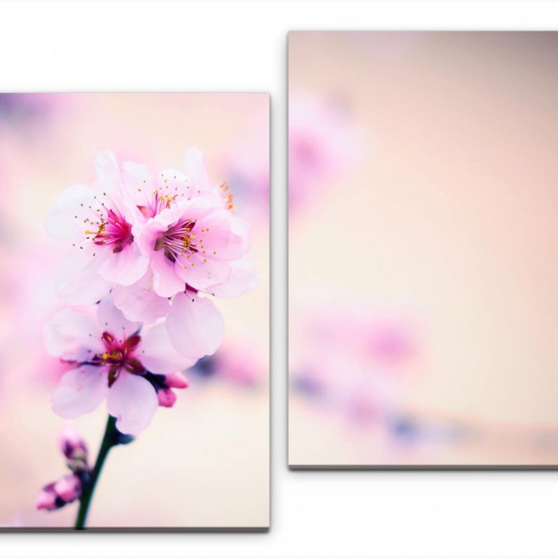 pinke Blumen Wandbild in verschiedenen Größen