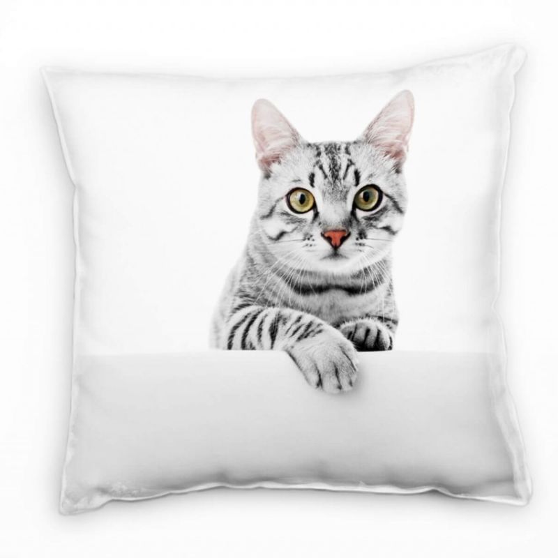 Tiere, Katze, grau, weiß Deko Kissen 40x40cm für Couch Sofa Lounge Zierkissen