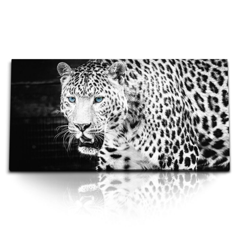 Kunstdruck Bilder 120x60cm Jaguar Raubtier Tierfotografie blaue Augen Leopard