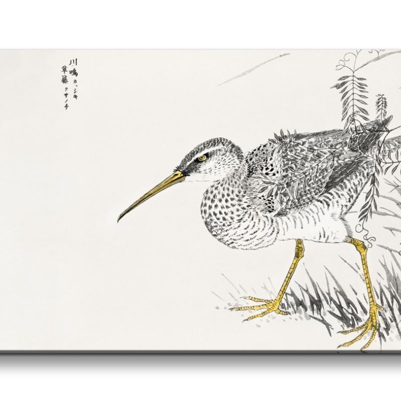 Remaster 120x60cm Traditionelle japanische Kunst Zeitlos Beruhigend Harmonie Vogel Natur