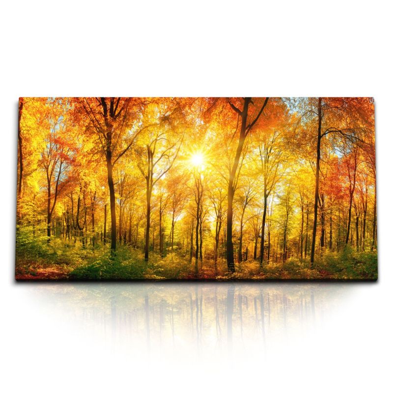 Kunstdruck Bilder 120x60cm Wald Herbst Herbstblätter Natur Rot Sonnenschein