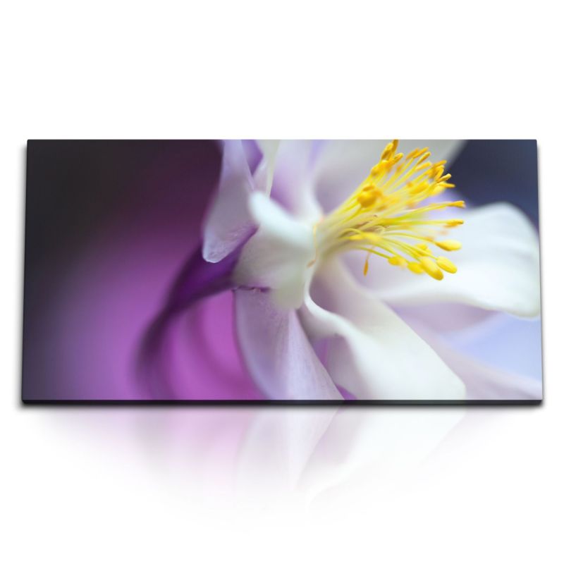 Kunstdruck Bilder 120x60cm Orchidee Nahaufnahme Blume Blüte Kunstvoll