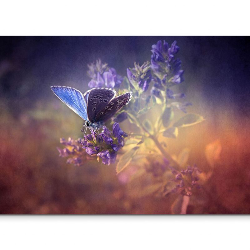 120x80cm Wandbild Schmetterling Blume Wiese vintage grunge