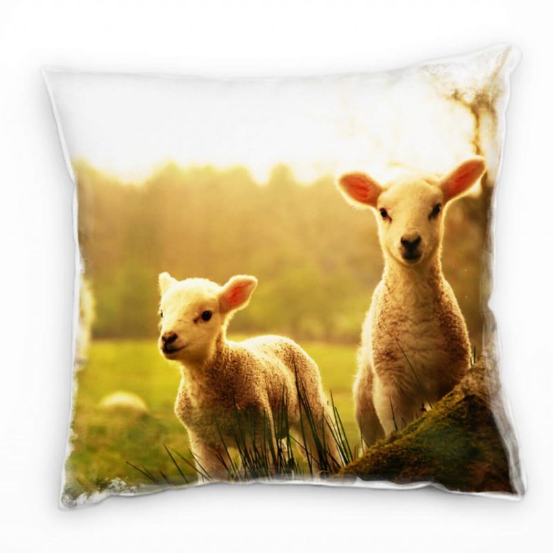 Tiere, grün, orange, Frühling, Lämmer Deko Kissen 40x40cm für Couch Sofa Lounge Zierkissen