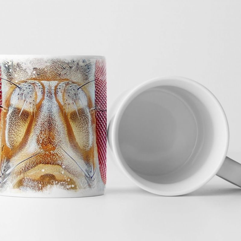 Tasse Geschenk Tierfotografie – Fliegenkopf in Makroaufnahme