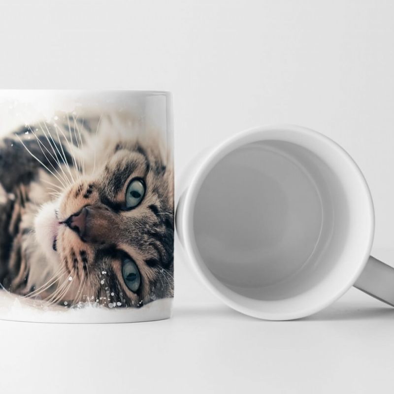 Tasse Geschenk Tierfotografie – Süße Hauskatze auf dem Bett