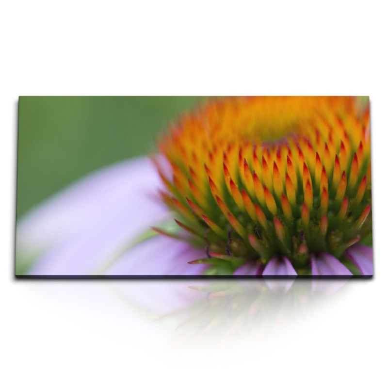 Kunstdruck Bilder 120x60cm Blume Nahaufnahme Blüte Natur Makrofotografie