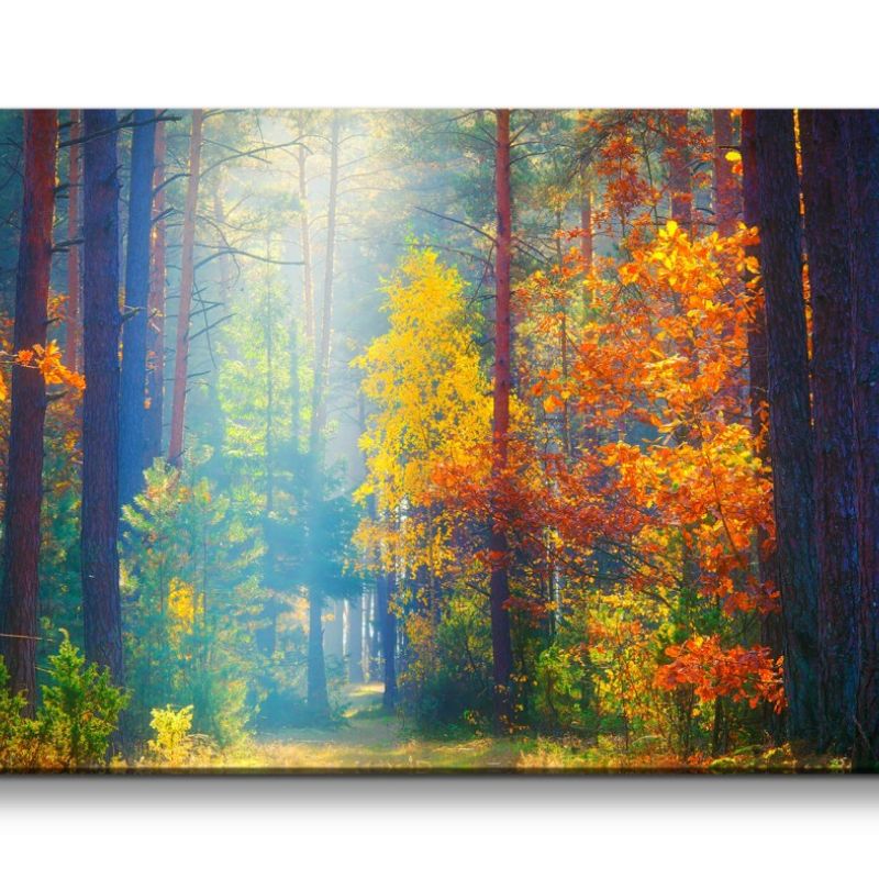 Leinwandbild 120x60cm Schöner Wald Herbst Sonnenstrahl Lichtung Natur