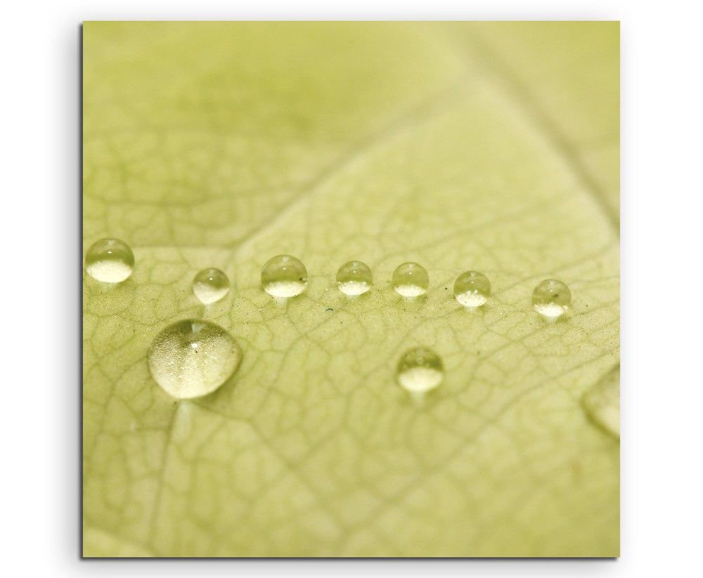 Naturfotografie –  Grünes Blatt mit Makro Wassertropfen auf Leinwand