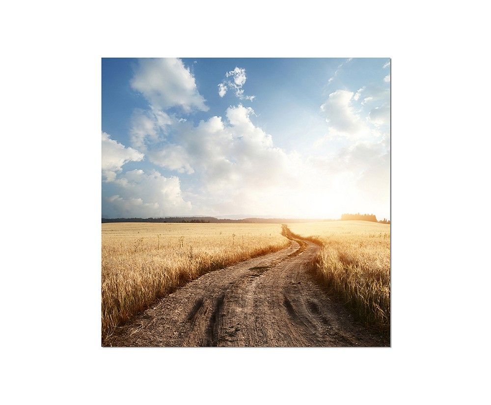 80x80cm Feld Feldweg Himmel Wolken Natur