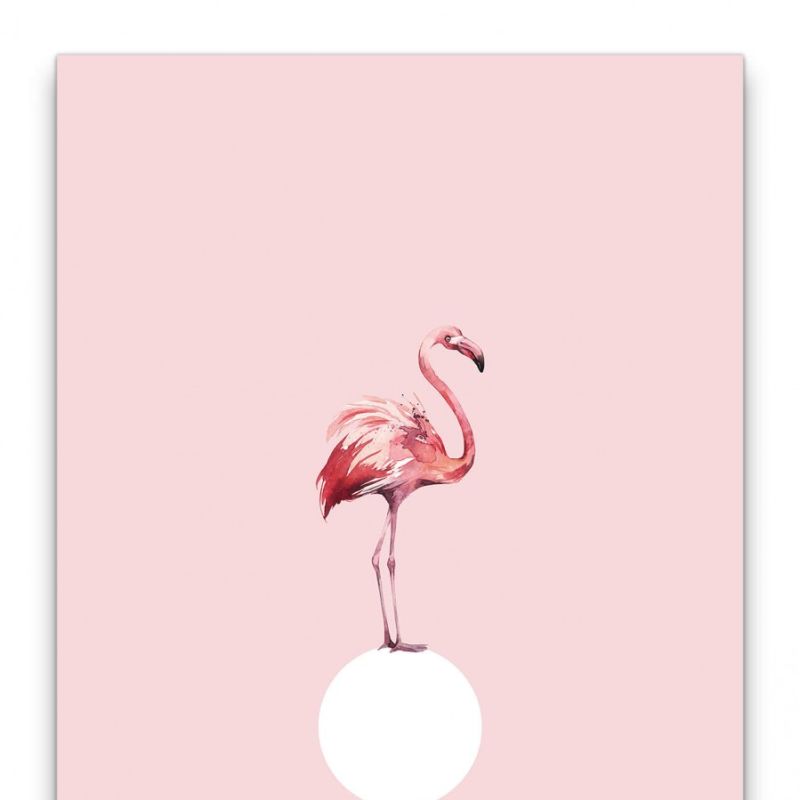 Flamingo Rosa Wasserfarben Aquarell Dekorativ Schön