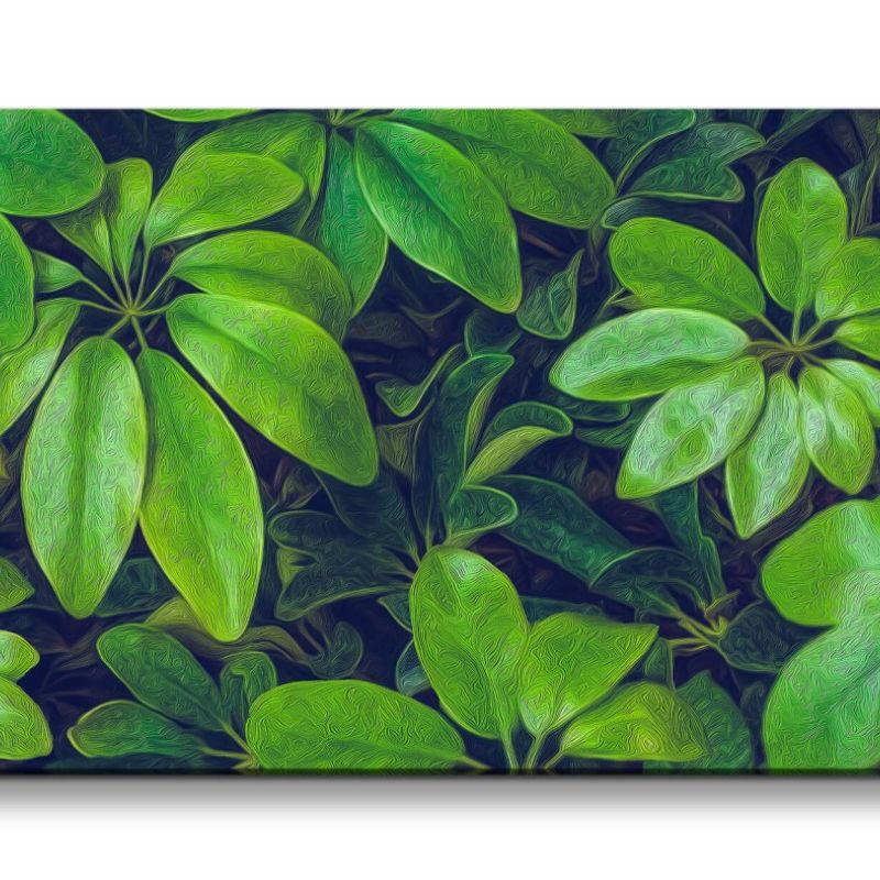 Leinwandbild 120x60cm Grüne Blätter Pflanzen Kunstvoll Dekorativ Natur