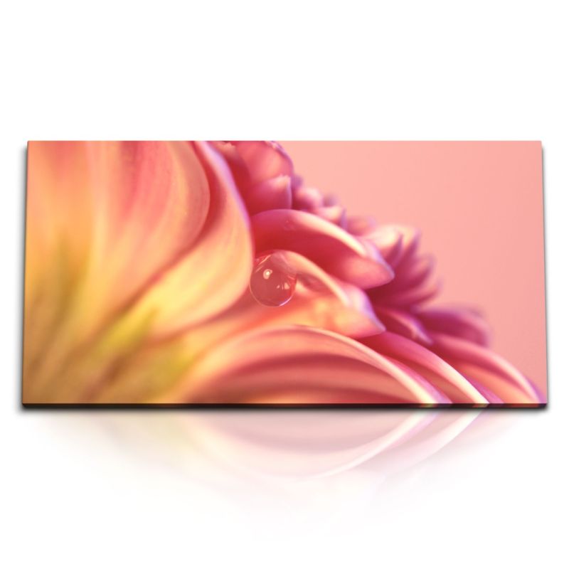 Kunstdruck Bilder 120x60cm Blume Blüte Rosa Nahaufnahme Kunstvoll Wassertropfen