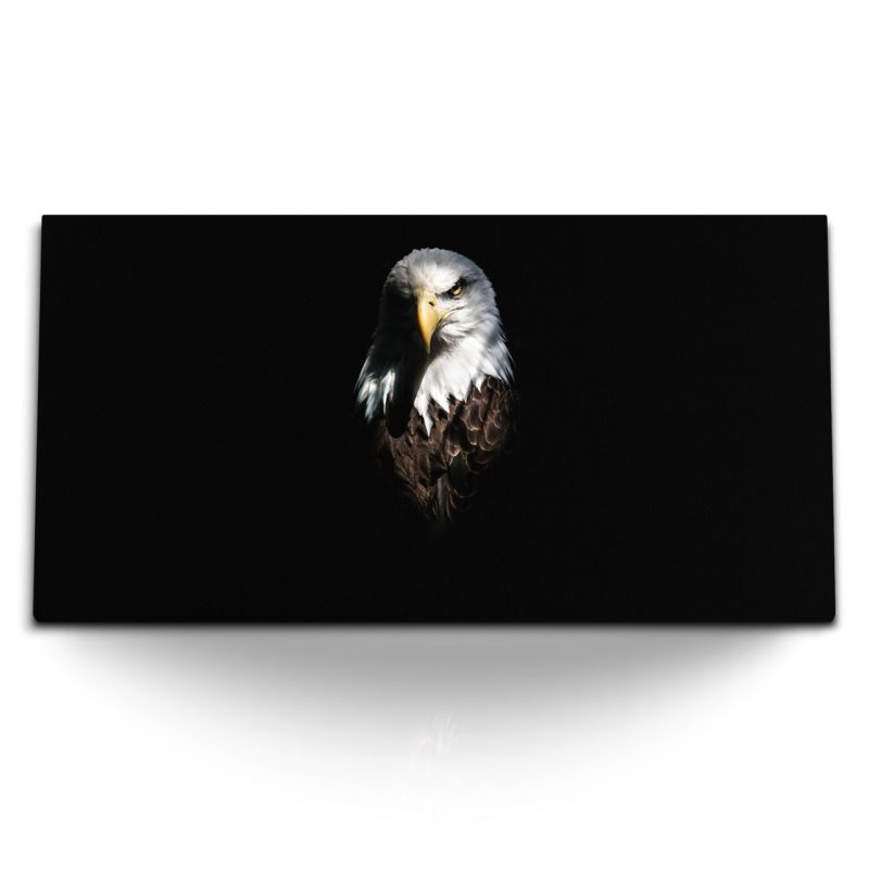 Kunstdruck Bilder 120x60cm Weißkopfadler Adler Tierfotografie schwarzer Hintergrund