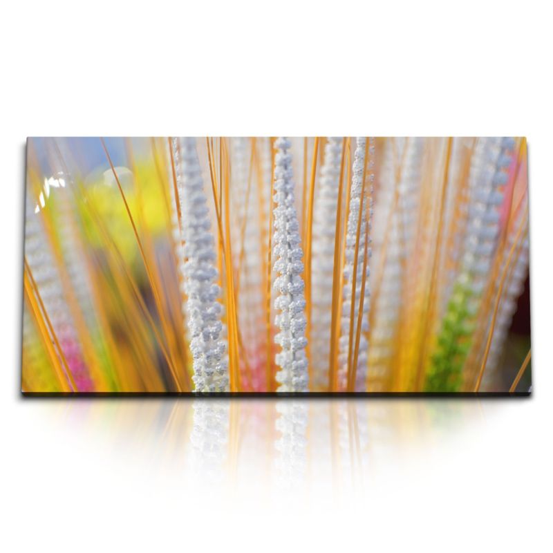 Kunstdruck Bilder 120x60cm Pflanze Feld Natur Gelb Sommer Sonnenschein