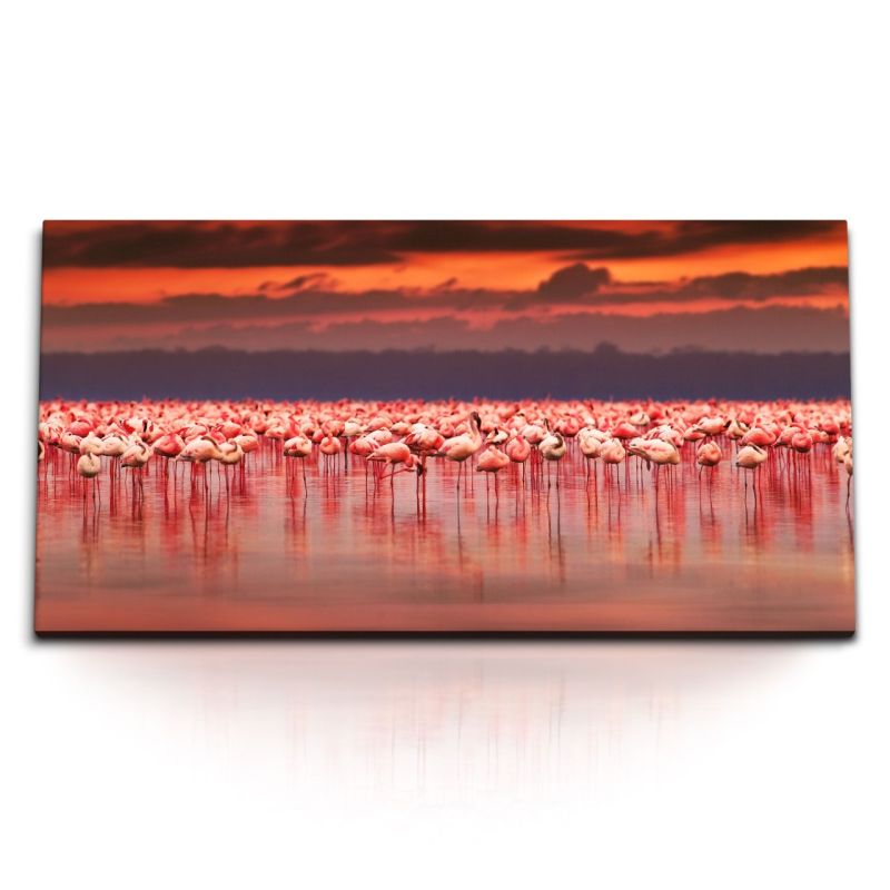 Kunstdruck Bilder 120x60cm Flamingos Rosa Meer roter Himmel Tierfotografie