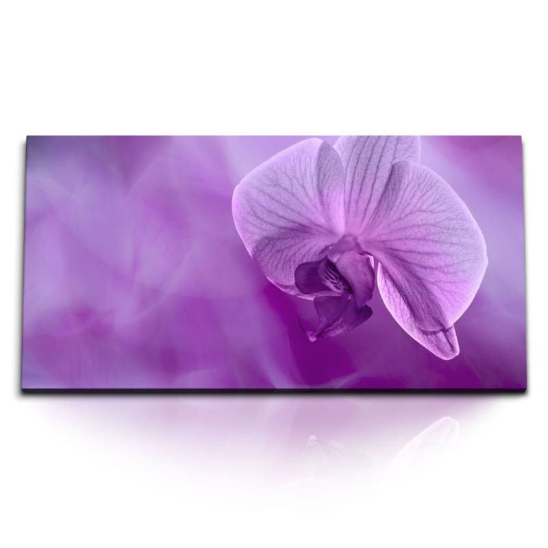 Kunstdruck Bilder 120x60cm Orchidee Blume Blüte Violett Lila Dekorativ