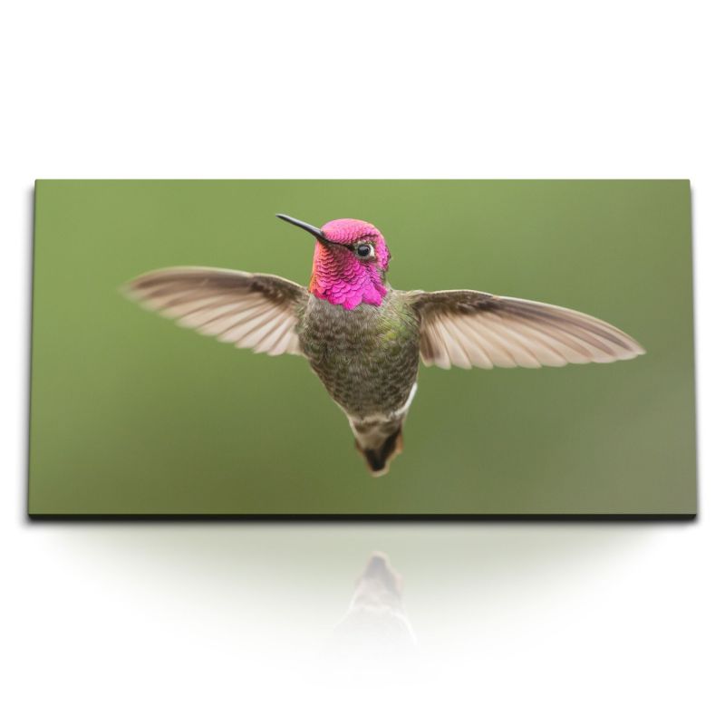 Kunstdruck Bilder 120x60cm Kolibri kleiner Vogel Tierfotografie Exotisch