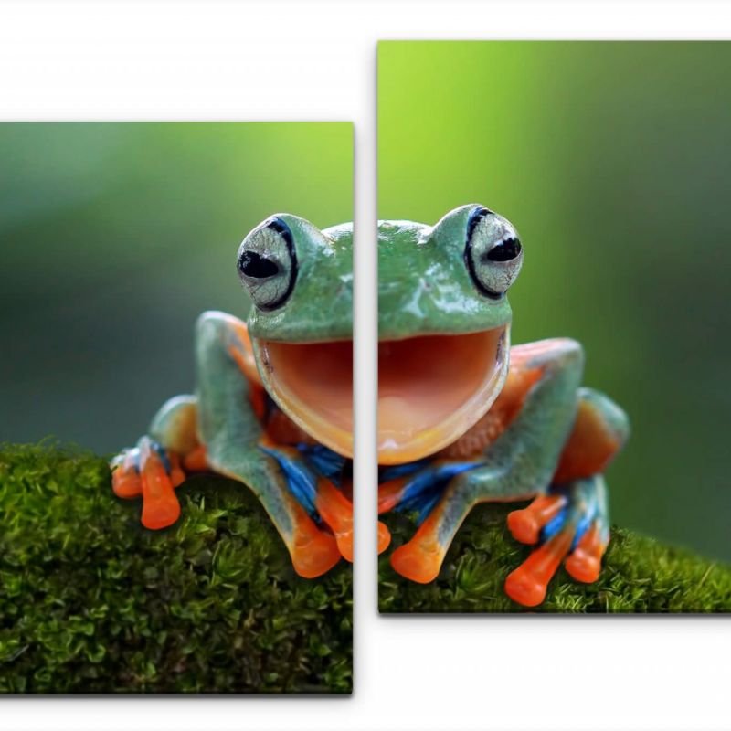 Frosch auf Moos Wandbild in verschiedenen Größen