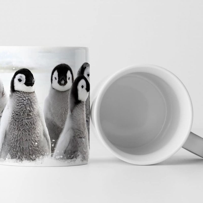 Tasse Geschenk Tierfotografie – Gruppe von Pinguinbabys im Schnee