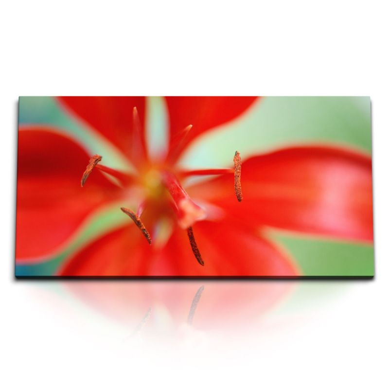 Kunstdruck Bilder 120x60cm Rote Lilie Blume Blüte Makrofotografie Kunstvoll