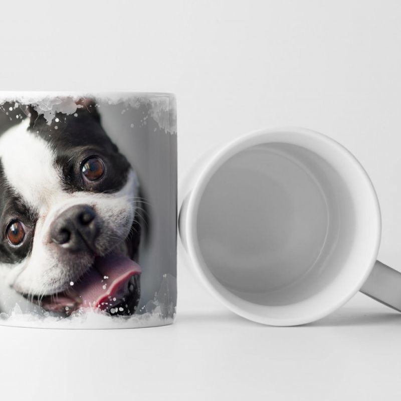 Tasse Geschenk Tierfotografie – Boston Terrier