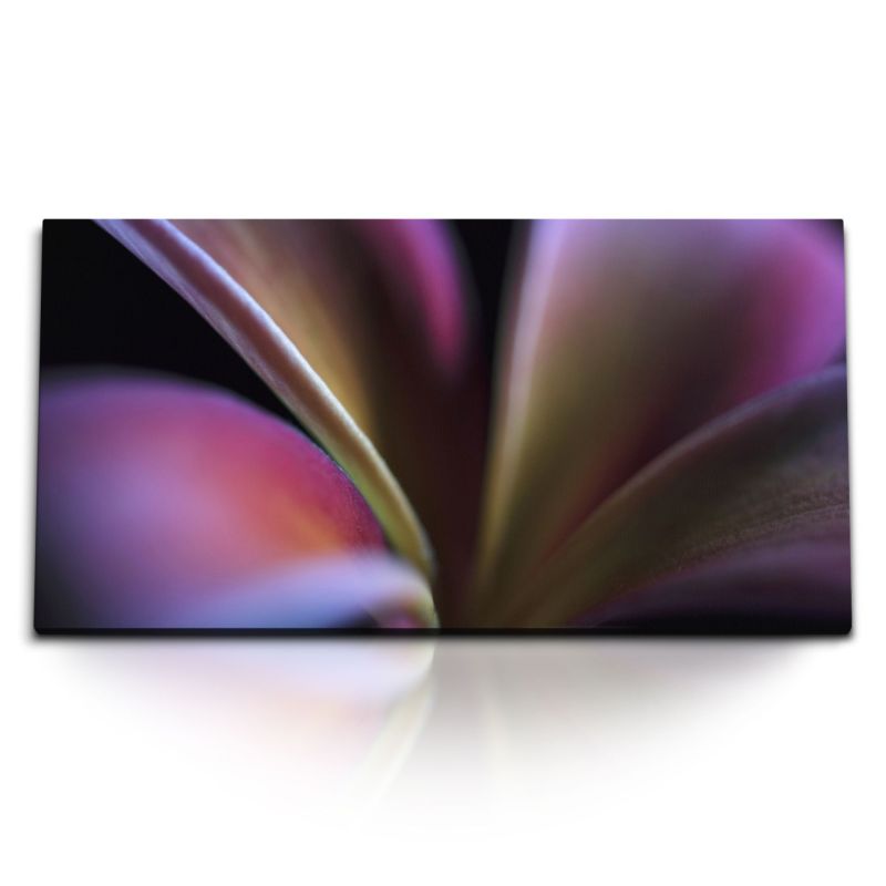 Kunstdruck Bilder 120x60cm Nahaufnahme Blume Pflanze Fotokunst Dunkel