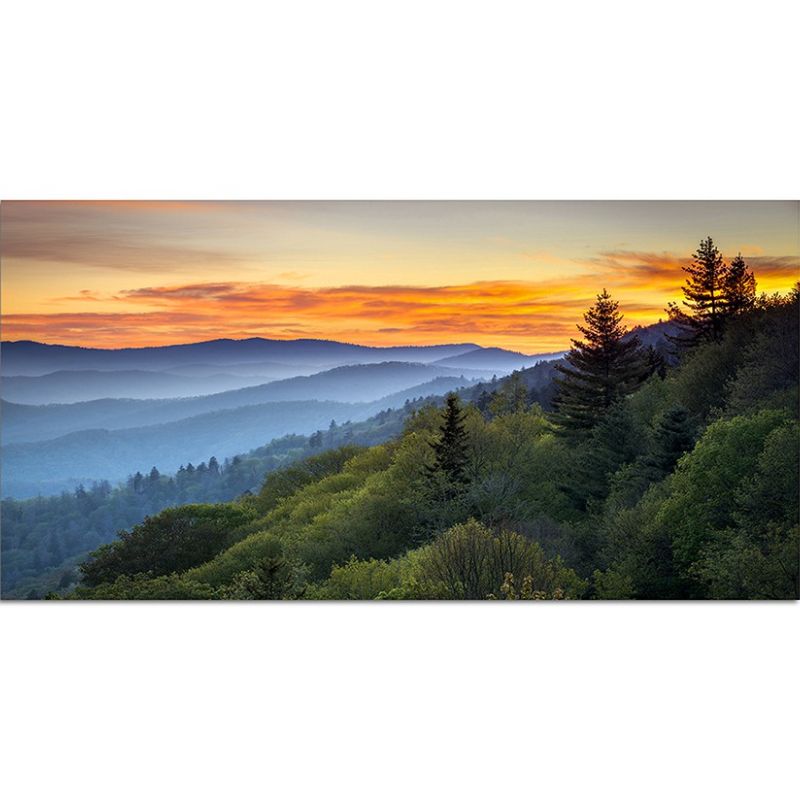 120x80cm Landschaft Wald Sonnenaufgang Nebel