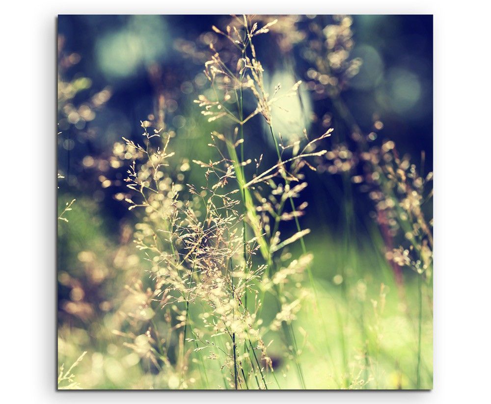 Naturfotografie –  Waldwiese mit Wildgras auf Leinwand