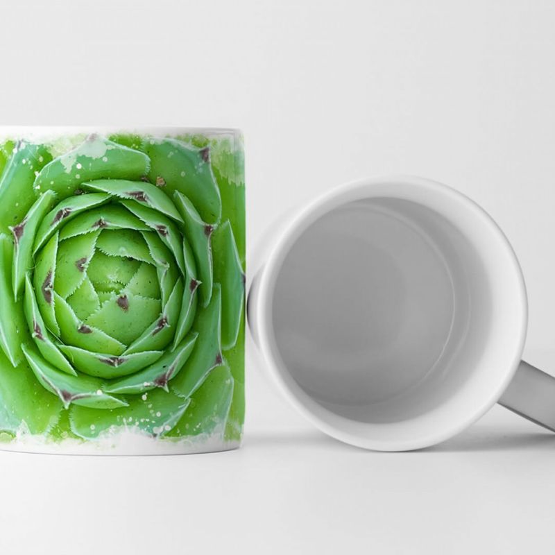 Tasse Geschenk Naturfotografie – Hellgrüne Sukkulente